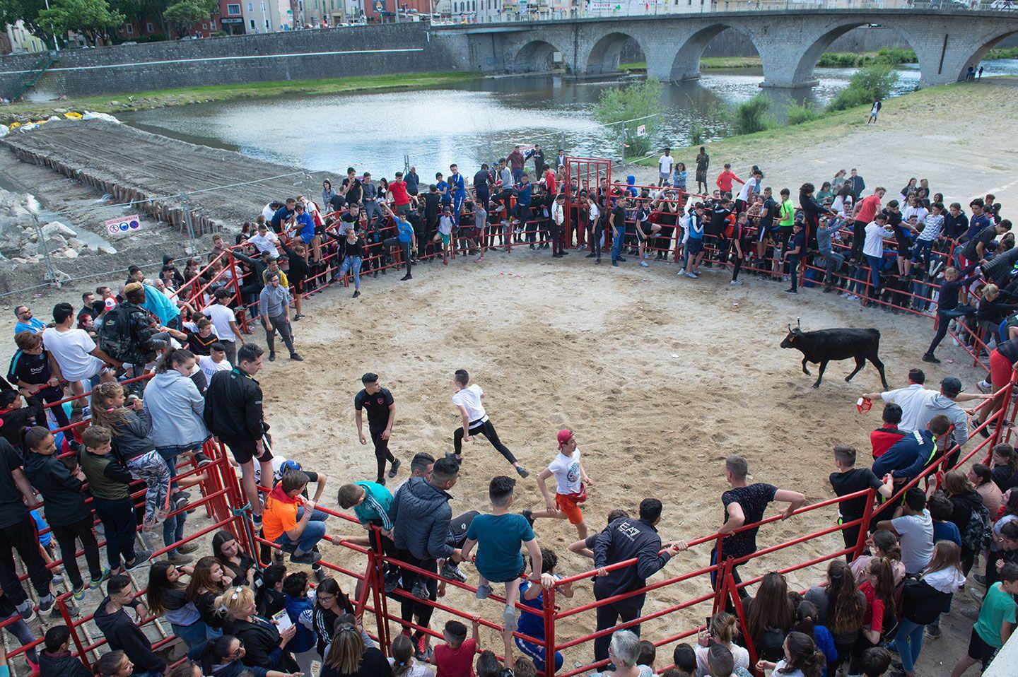 Alès réduit le nombre de corridas pour sa feria