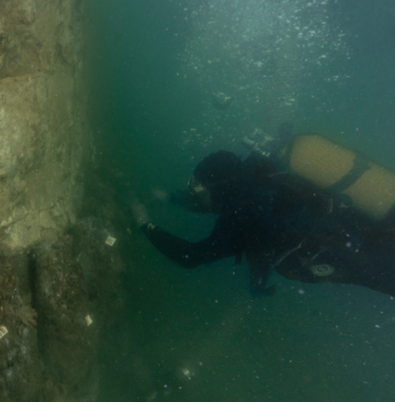 Des fouilles archéologiques à la Base Navale de Toulon mettent au jour des vestiges antiques