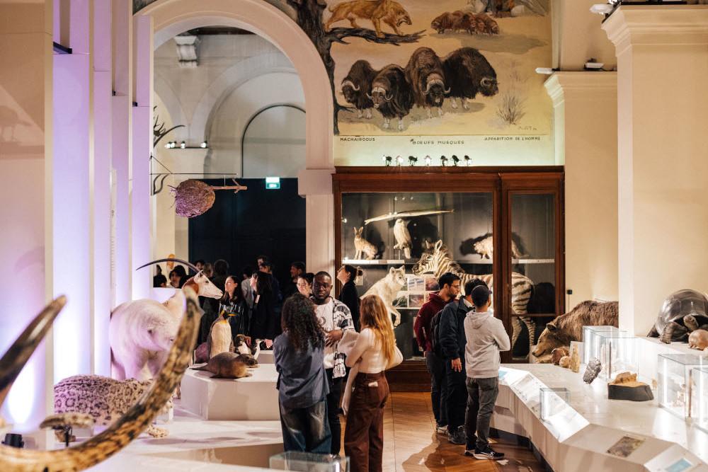 La Nuit des musées, moteur de démocratisation culturelle