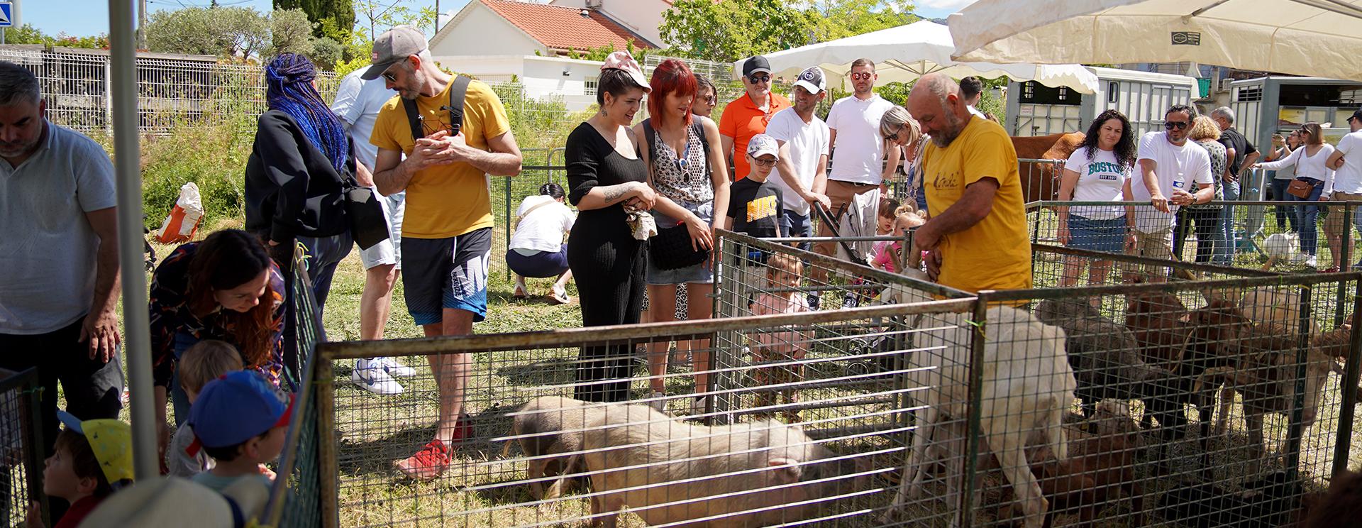Les Rusticales mettent à l’honneur le savoir-faire paysan avec 80 exposants