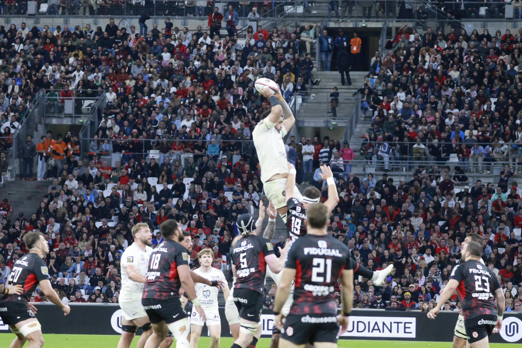 Toulon diminué face à Toulouse
