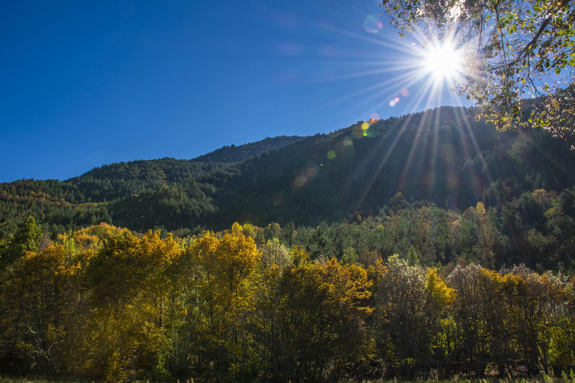 Partez à la découverte des forêts ce week-end