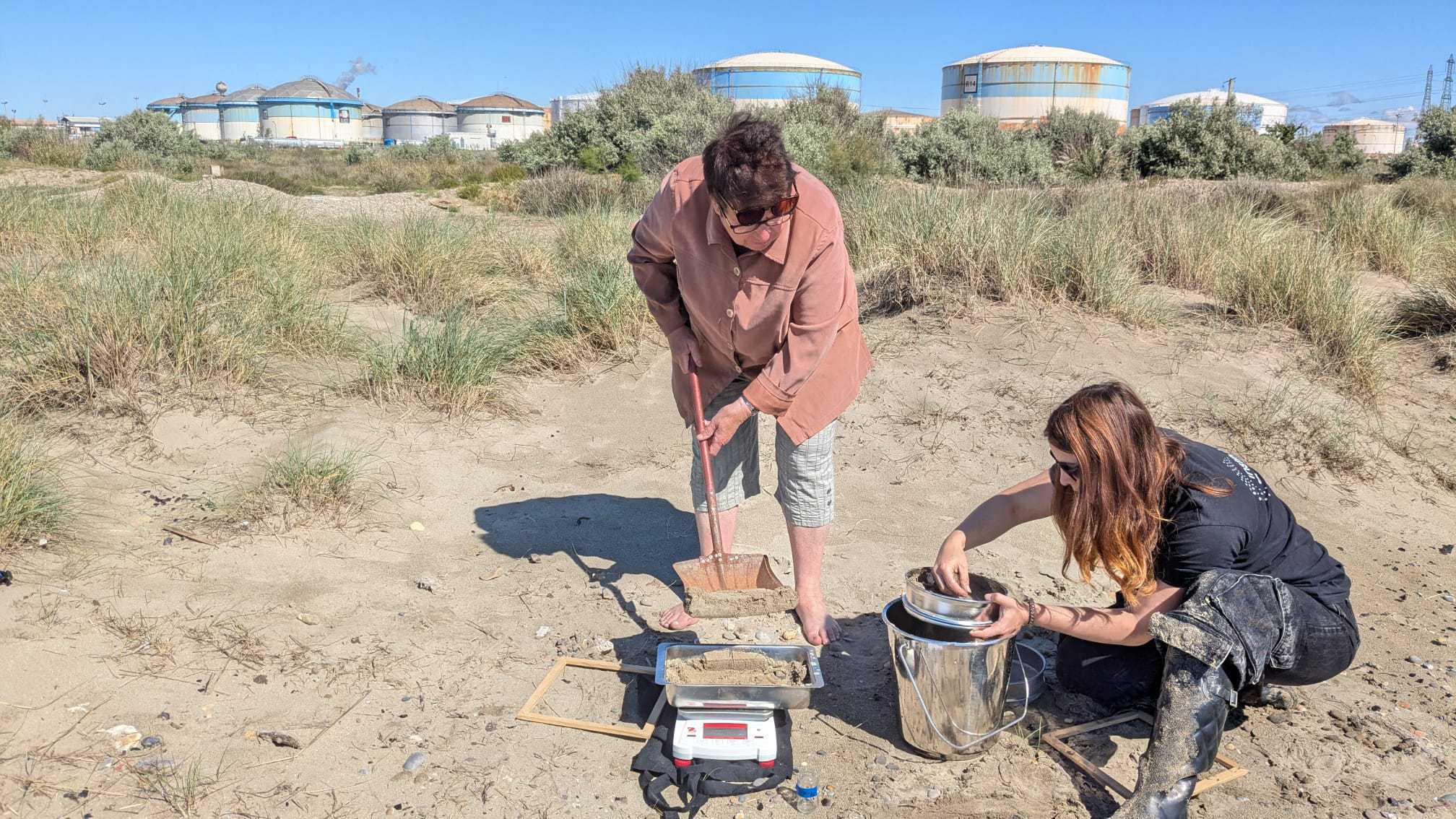 Des granulés plastiques industriels polluent les plages