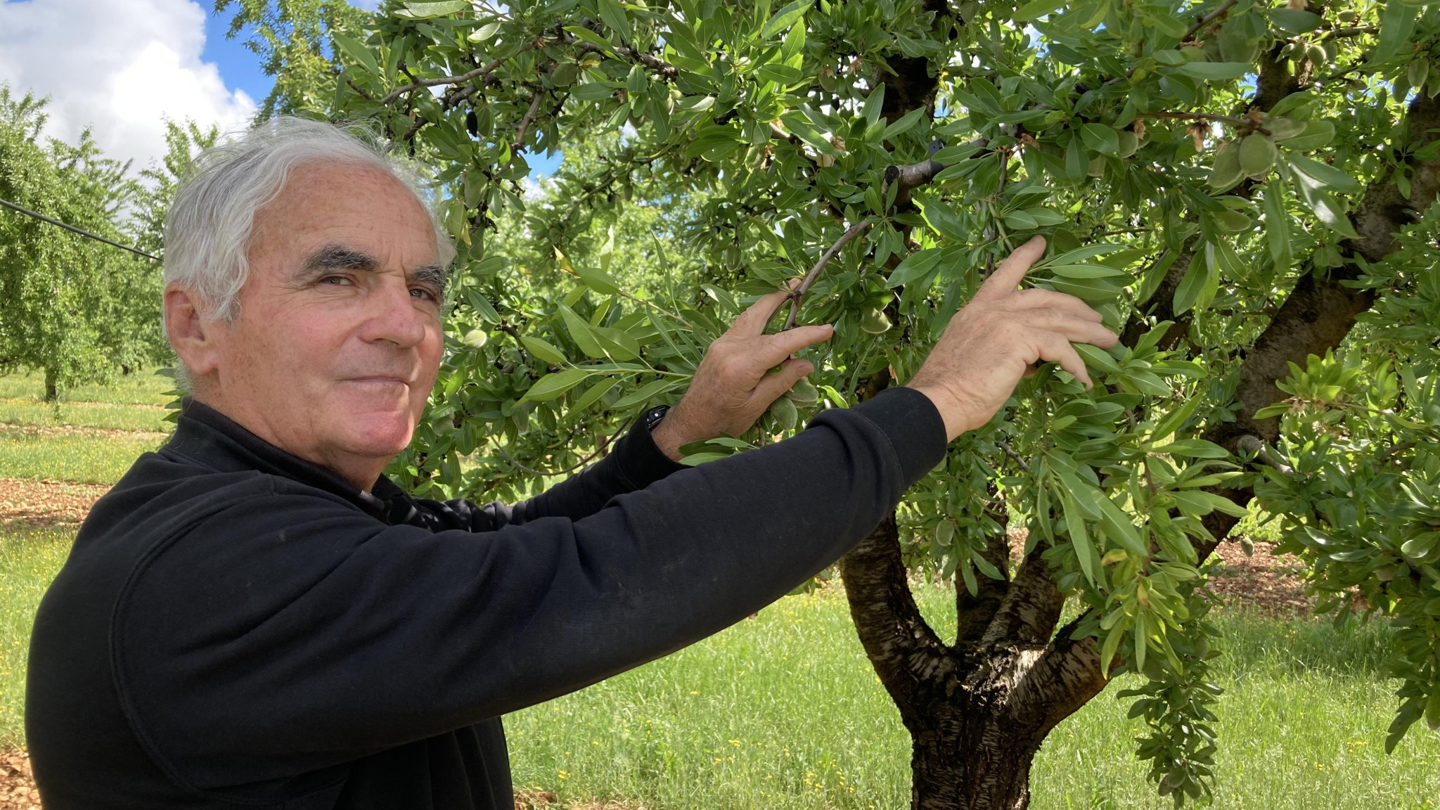 [EQDD] à Valensole, les amandiers sous économie d’eau