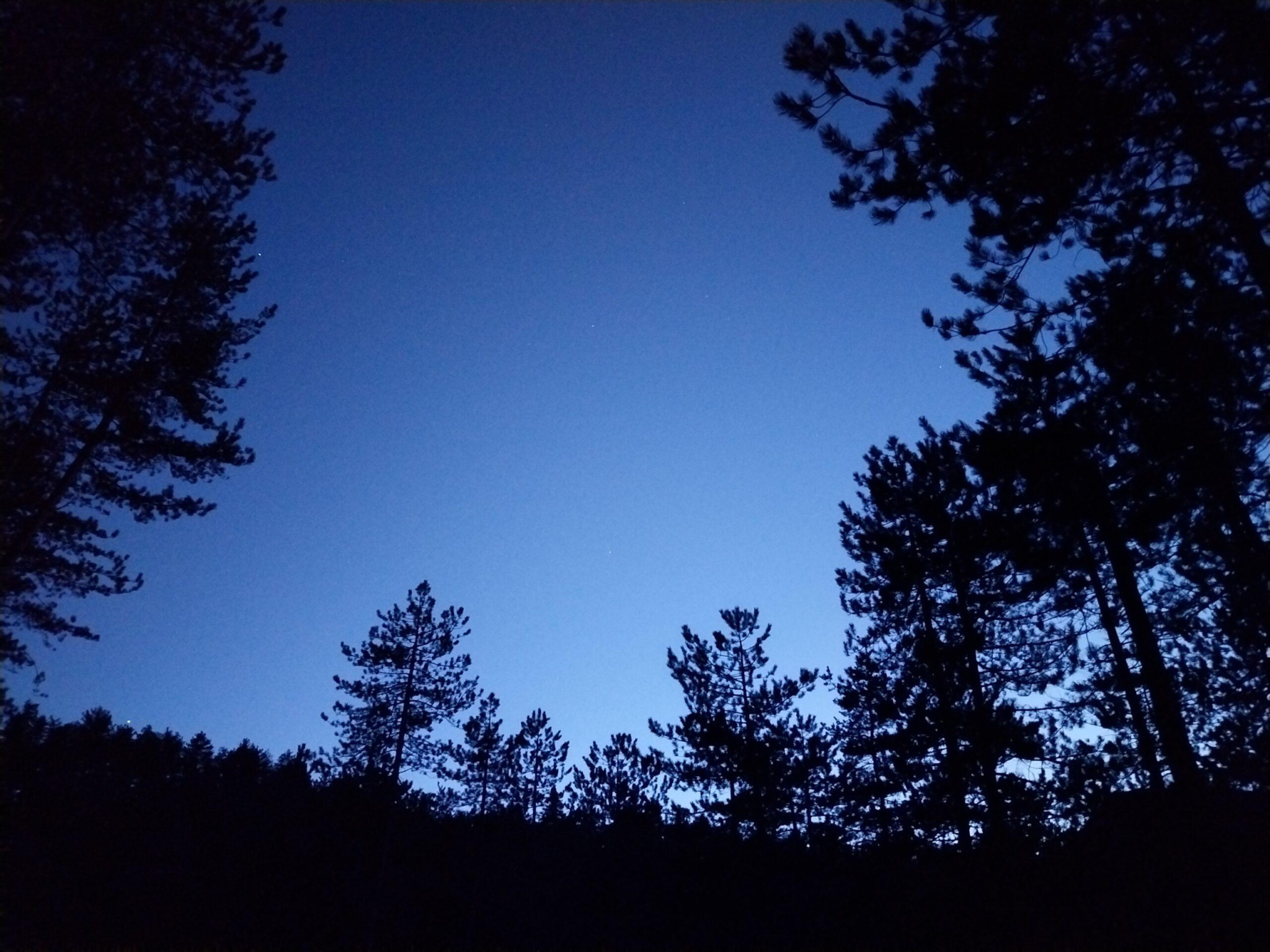 La forêt de Beynaves la nuit