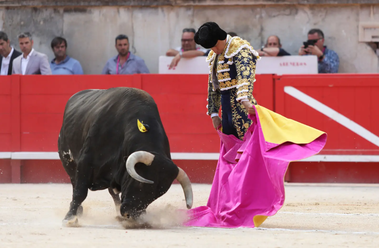 Villes taurines : Céret élue, Ménard désavoué