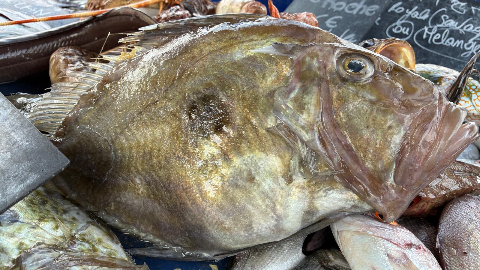 [La recette du Vieux-Port] Saint-Pierre au four