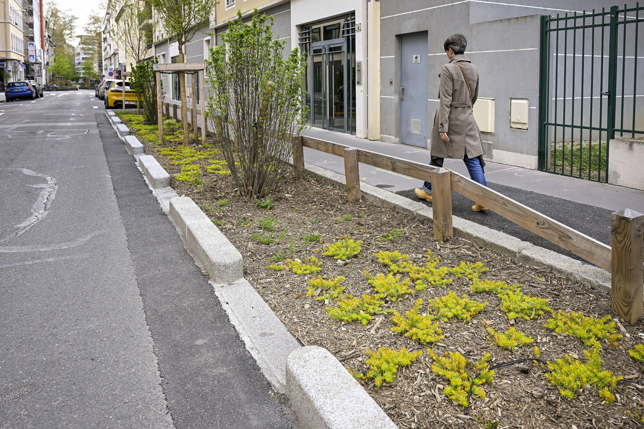 [EQDD] Métropole de Lyon : des arbres de pluie au secours de l’eau qui ruisselle