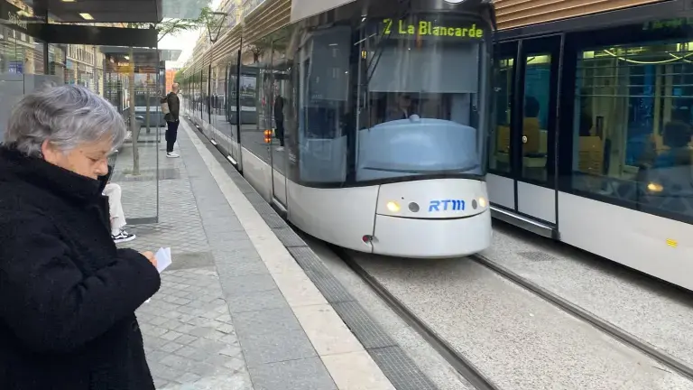 Deux demi-lignes mises en place par la RTM suite à un accident mortel avec le tramway