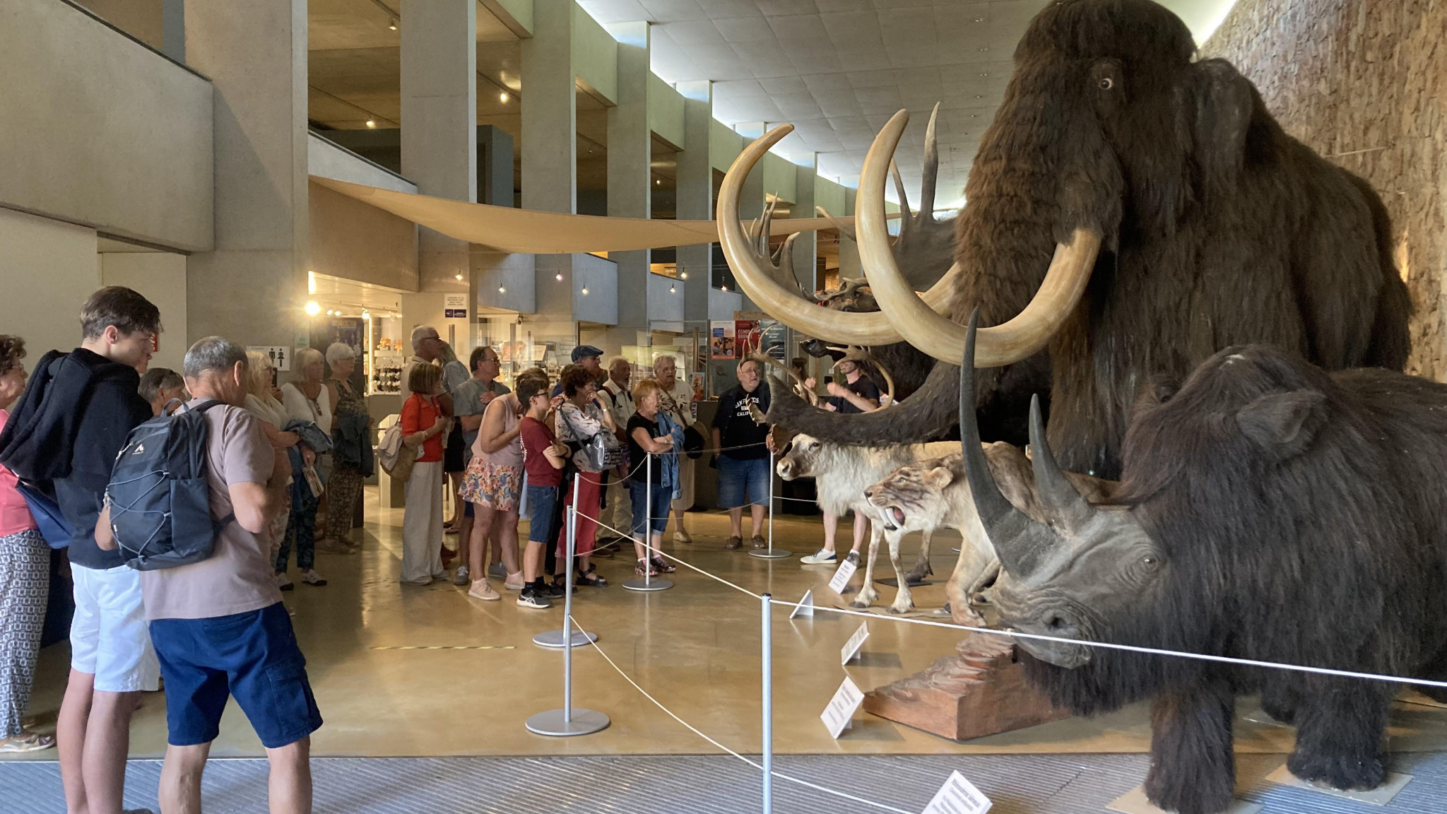 L’archéologie ouvre ses portes en grand