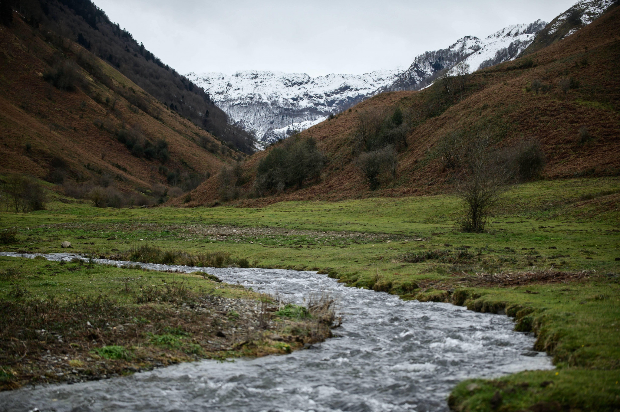 [EQDD] Pyrénées : sauver les ruisseaux pour sauver les rivières