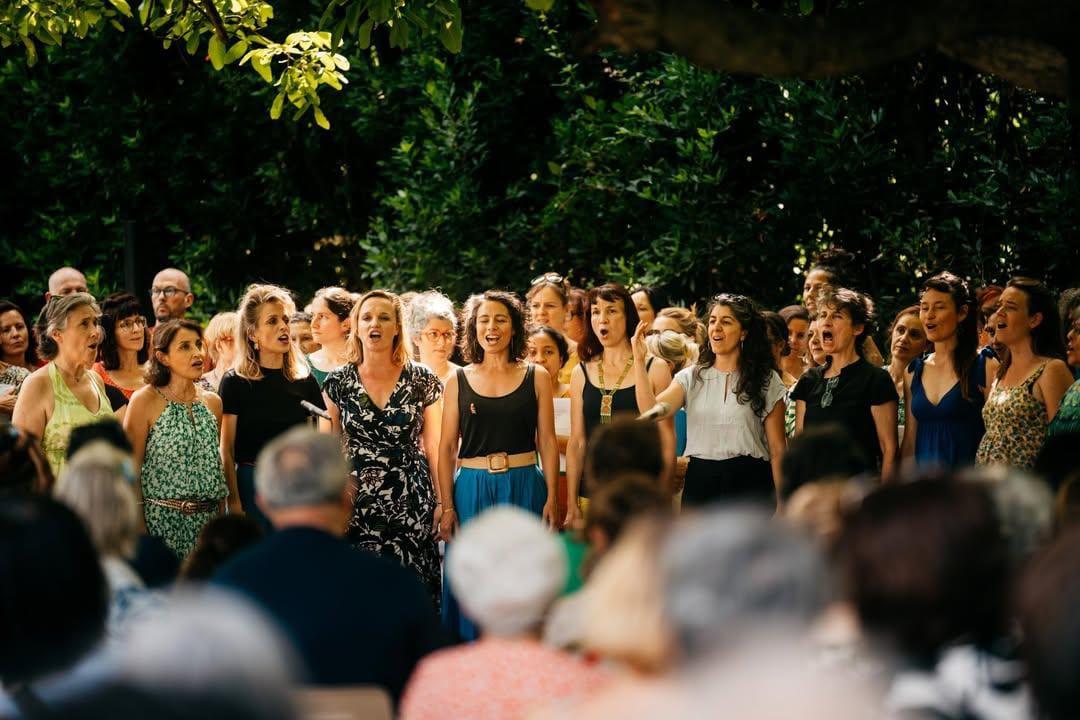 À Avignon, le festival Drôles d’oiseaux veut poursuivre son envol