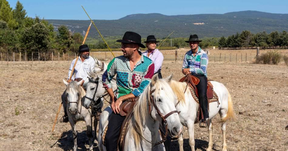 [C’est l’été] Découverte d’une manade à Roussillon
