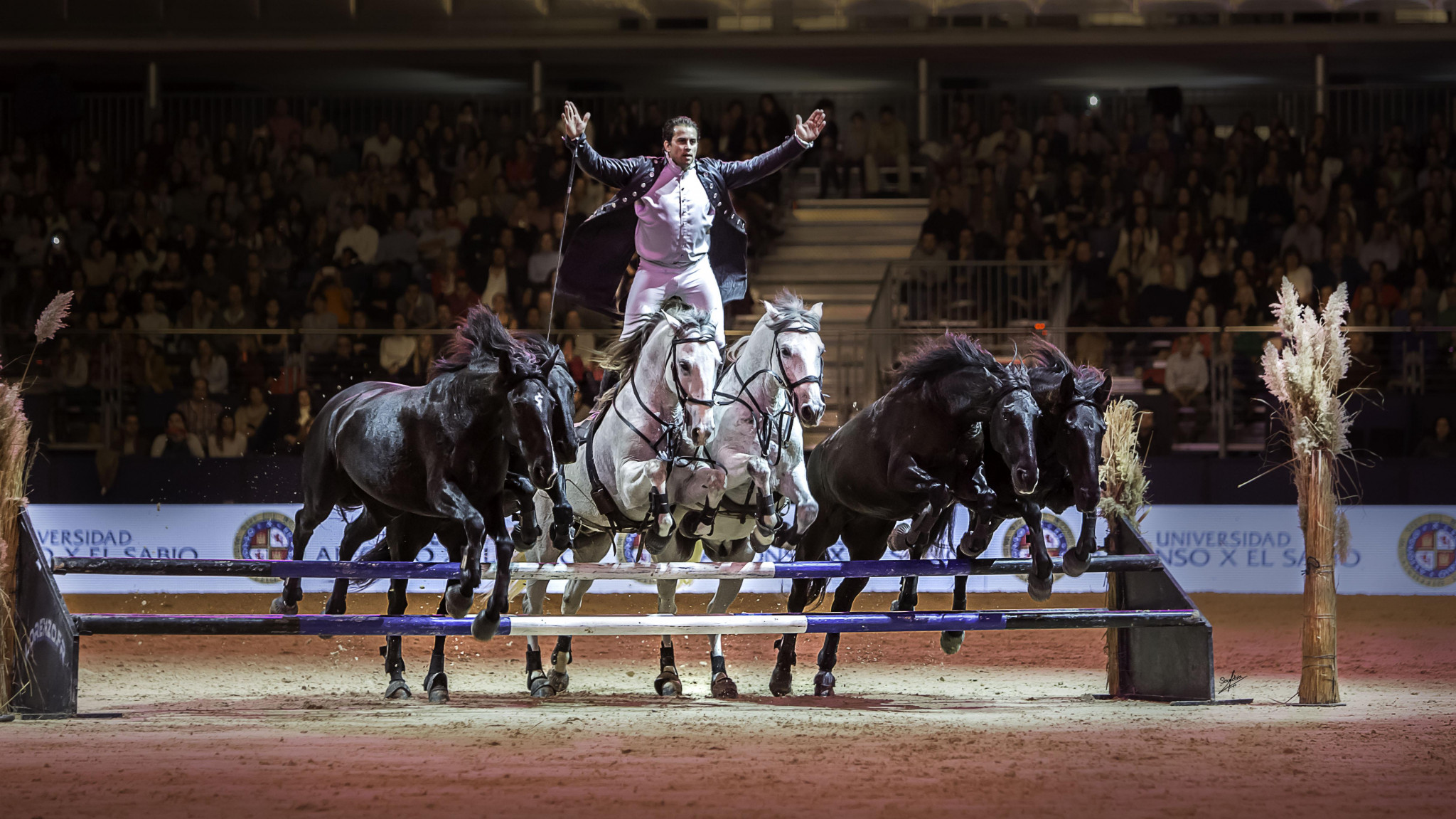 À Nîmes, les traditions camarguaises à l’honneur