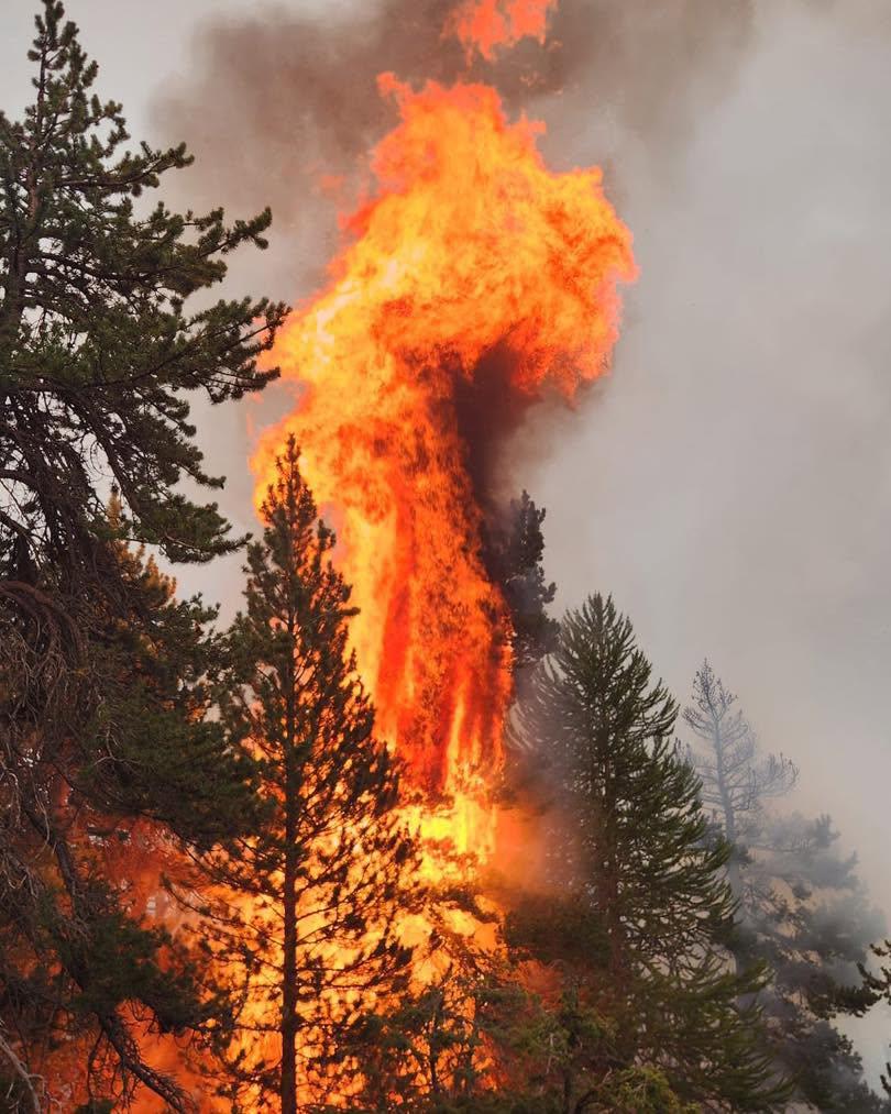 L’incendie du Bois-Noir se répand, du répit attendu samedi