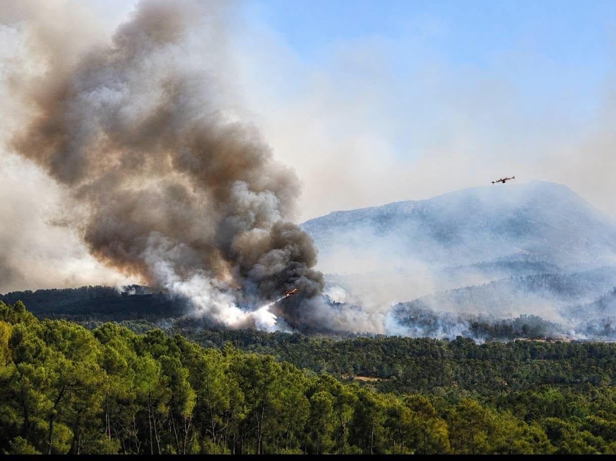 Dans le Var, une lutte toujours plus intense contre le feu