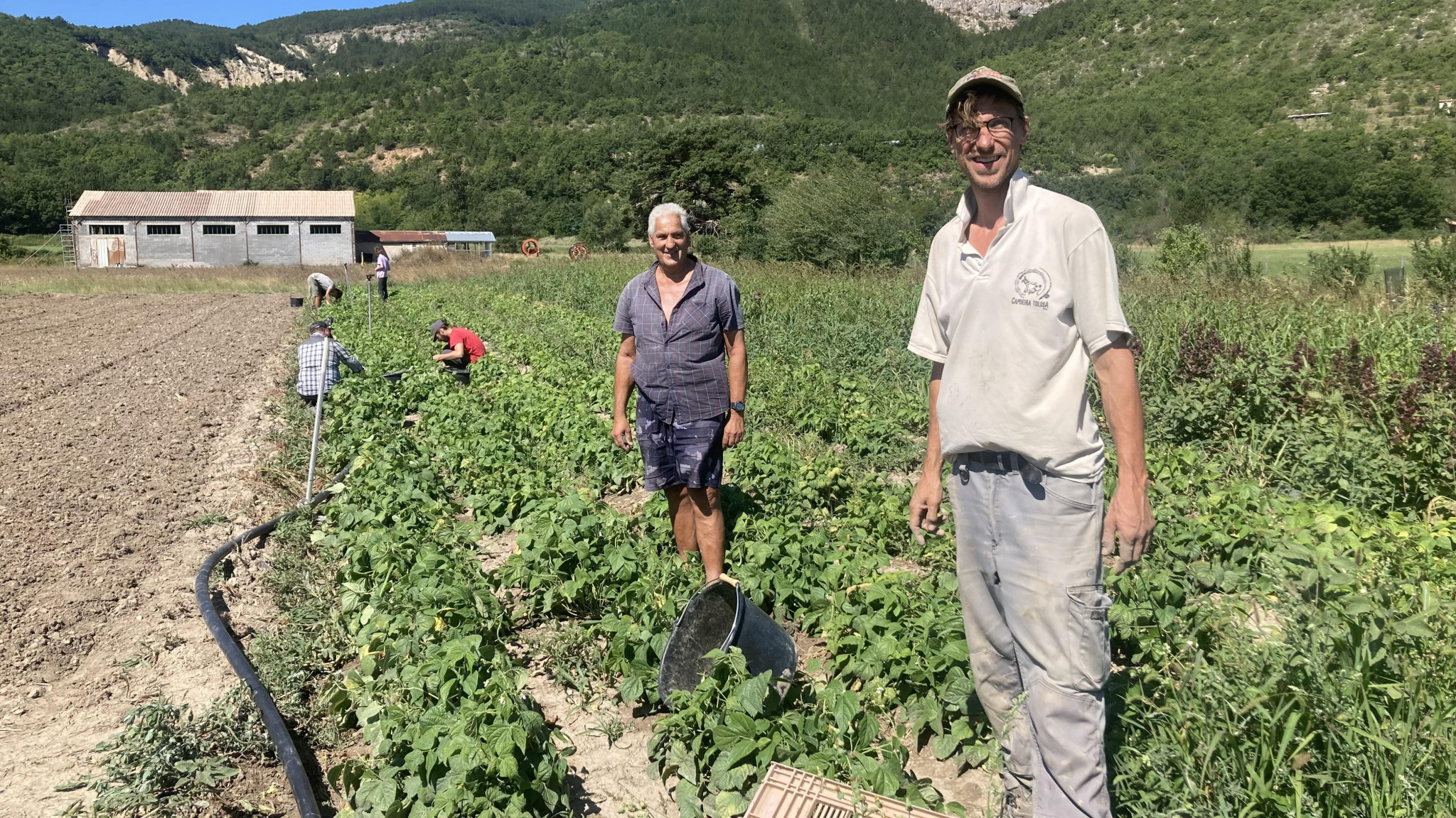 Retraités, réfugiés et jeunes en insertion dans les champs à Val-Buëch