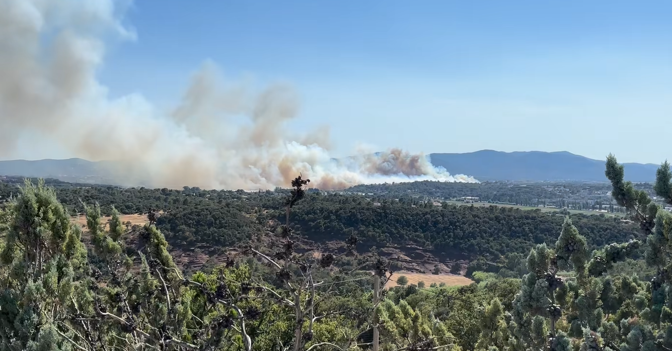 Un feu de forêt parcourt des dizaines d’hectares à Fréjus