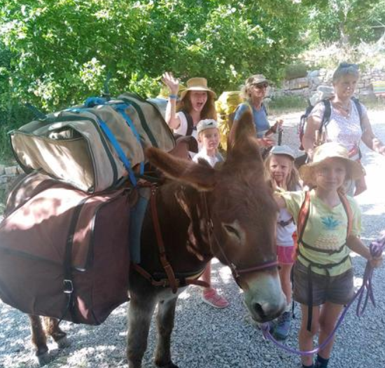 [C’est l’été] Bivouac avec les ânes à Montbrand