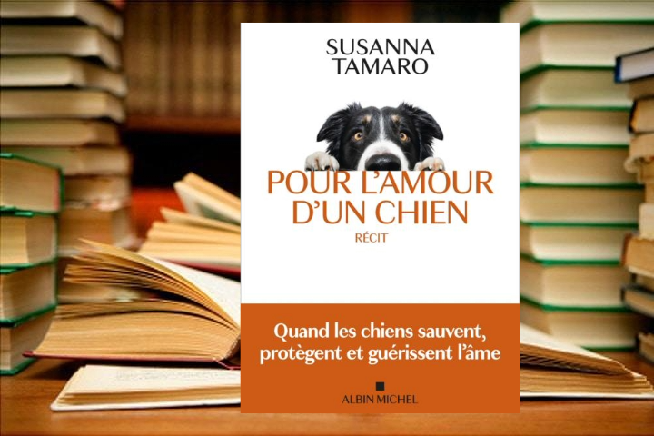 [C’est l’été] Lecture : « Pour l’amour d’un chien », de Susanna Tamaro