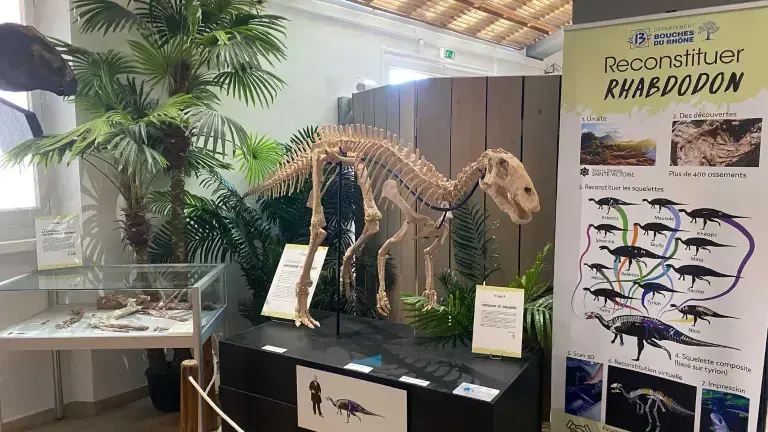 Le Muséum d’histoire naturelle d’Aix poursuit ses ateliers pédagogiques