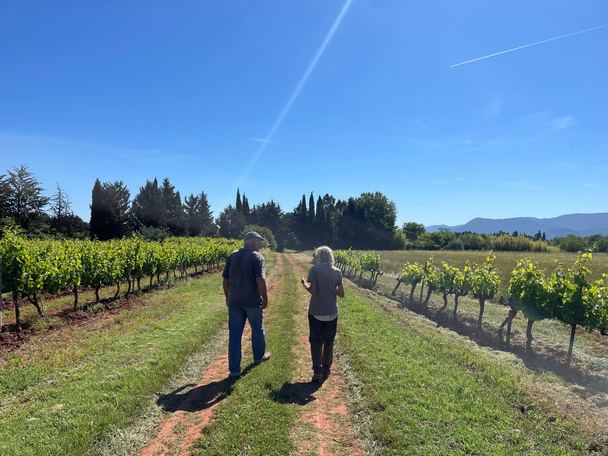 Solidarité Paysans Provence doit s’adapter sans subvention