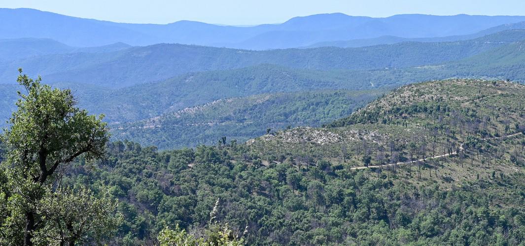 Le Sénat adopte un projet de loi de simplification décisif pour le futur Parc naturel régional des Maures
