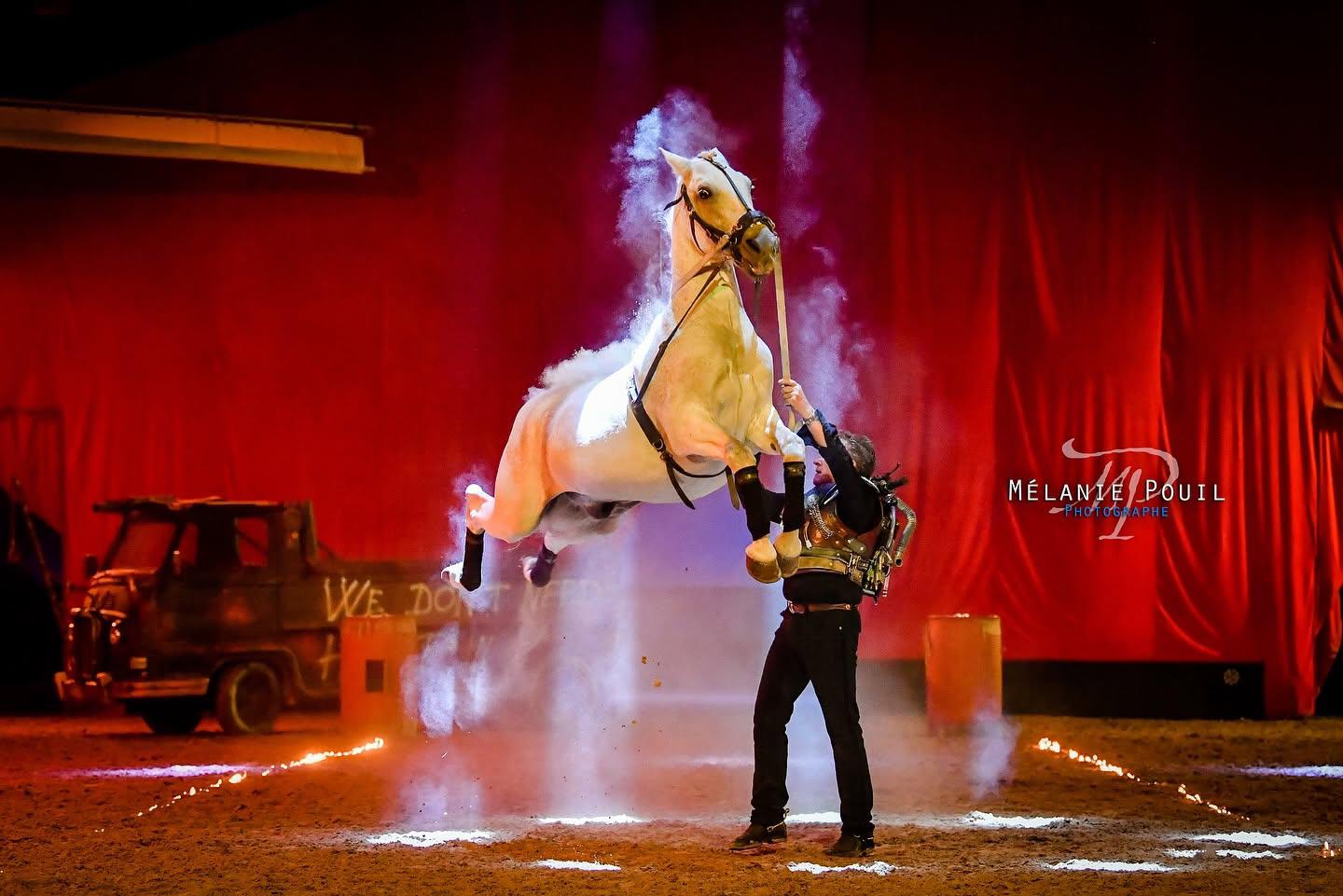 [C’est l’été] Spectacle équestre à Arles