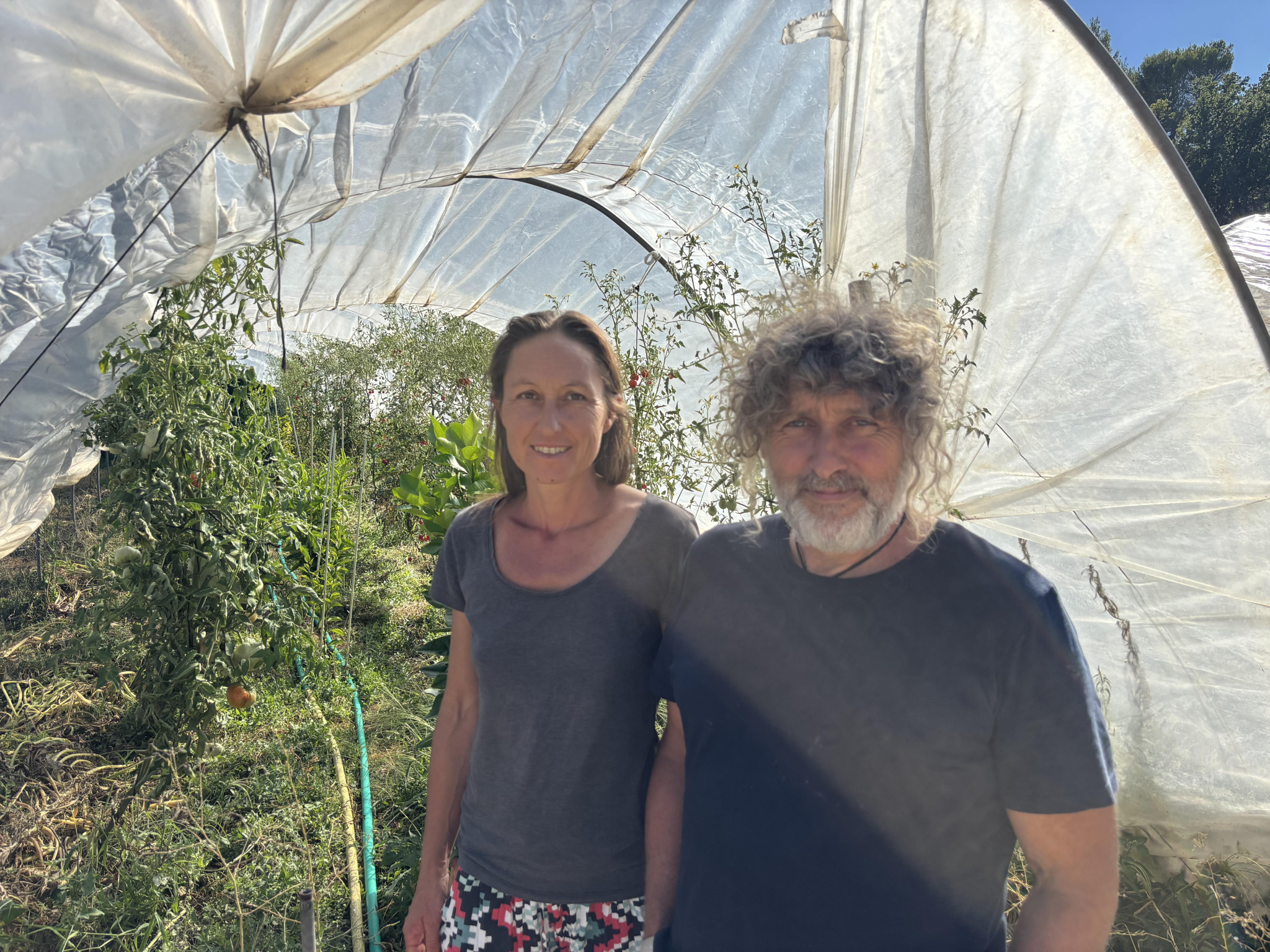 En Provence, les agriculteurs étouffent