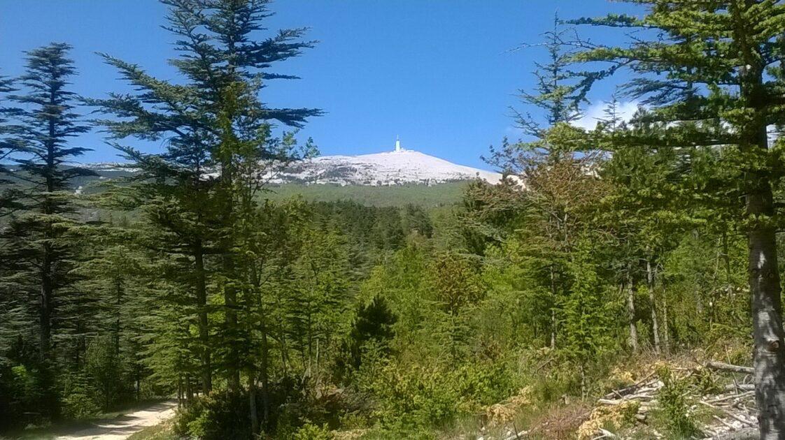 [Week-end] À Bédoin, la réserve de biosphère du Mont-Ventoux