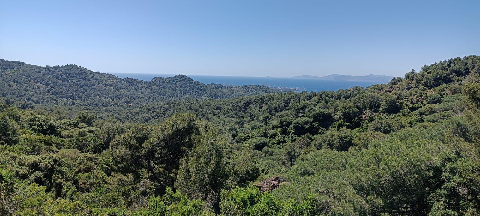 [C’est l’été] La forêt de Janas à La Seyne