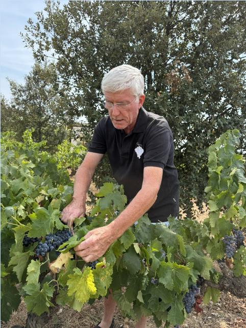 Le vigneron gardois Franck Renouard a planté 2&nbsp;500 arbres sur son domaine