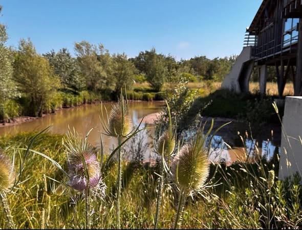 Le Parc du Plan, joyau naturel au cœur de la Garde et du Pradet