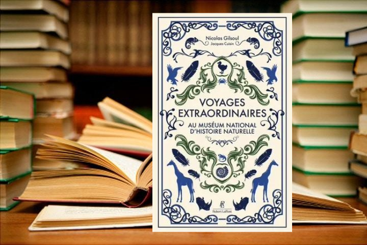 [C’est l’été] Lecture : « Voyages extraordinaires »