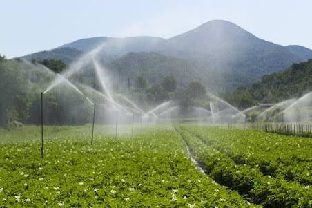 Les agriculteurs cévenols touchés par les restrictions d’eau