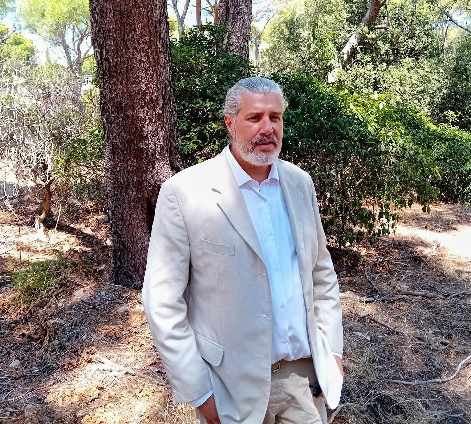 [Exclusif] Hervé Menchon sur l’abattage d’arbres à Marseille: « Je suis horrifié. On est à rebours des enjeux du siècle »