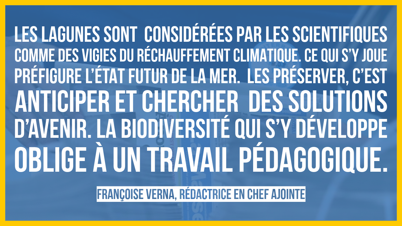 Une lagune en première ligne