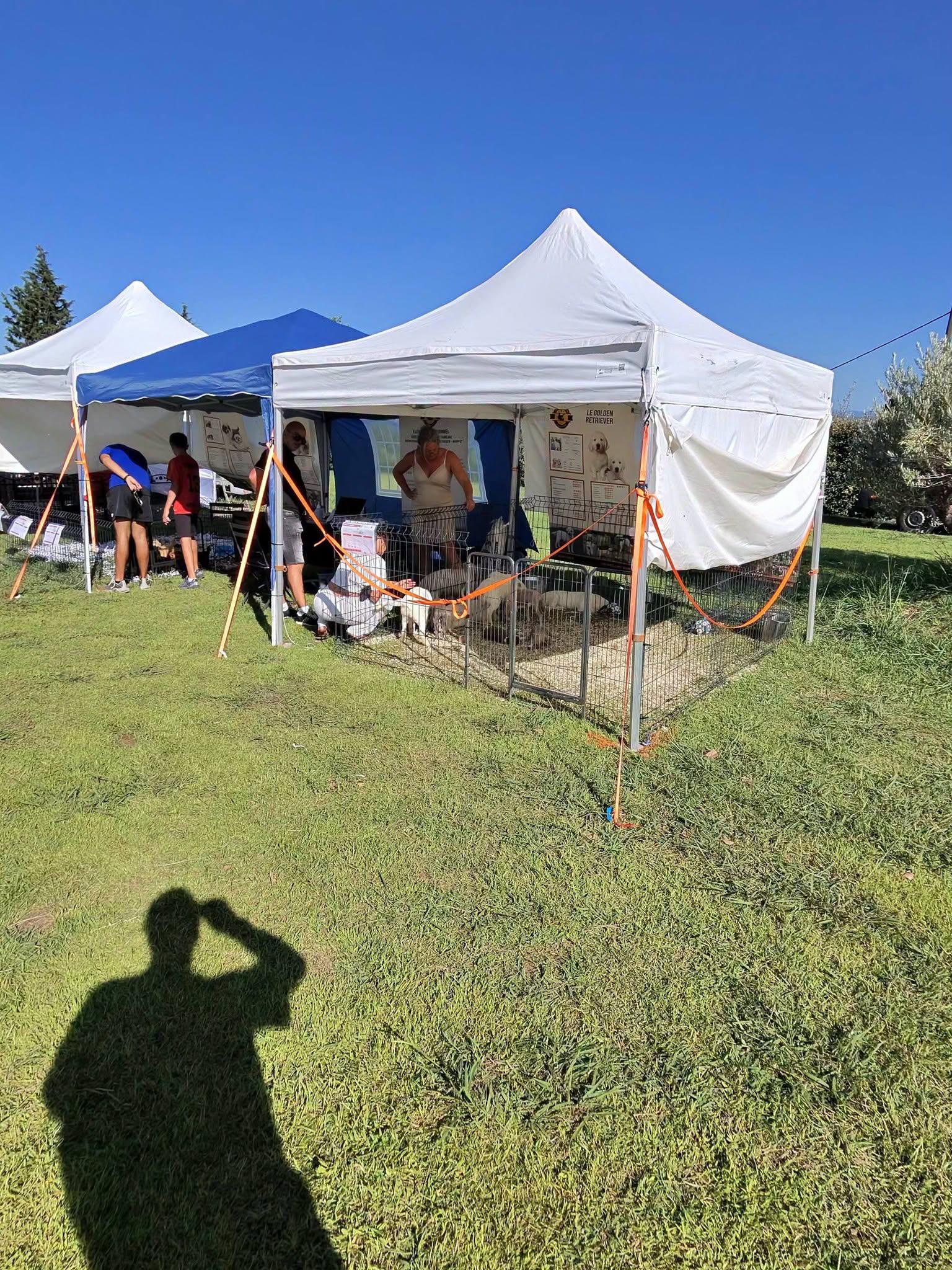 Un salon du chiot et du chaton interroge les pros