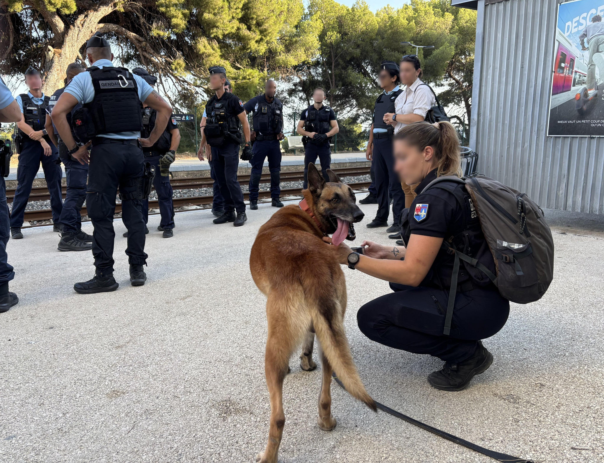 Une opération contre la drogue sur les rails de la Côte Bleue
