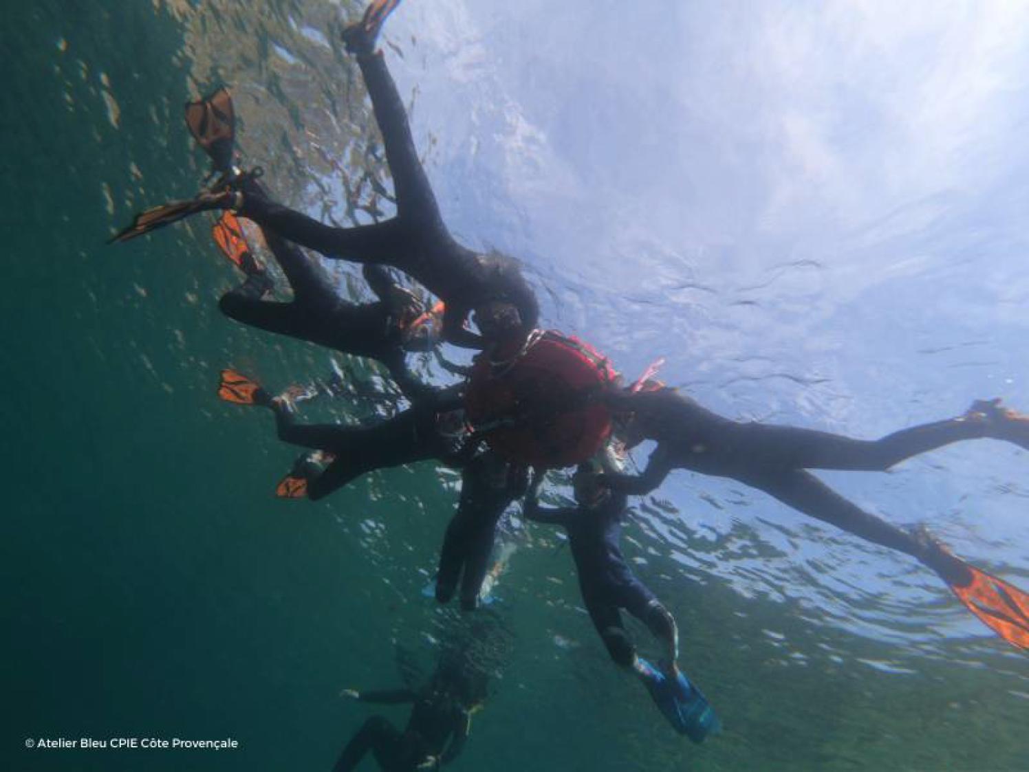 [Tous dehors] Une balade au plus près de la biodiversité marine locale