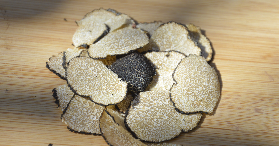 [C’est l’été] Dégustation de truffes d’été locales