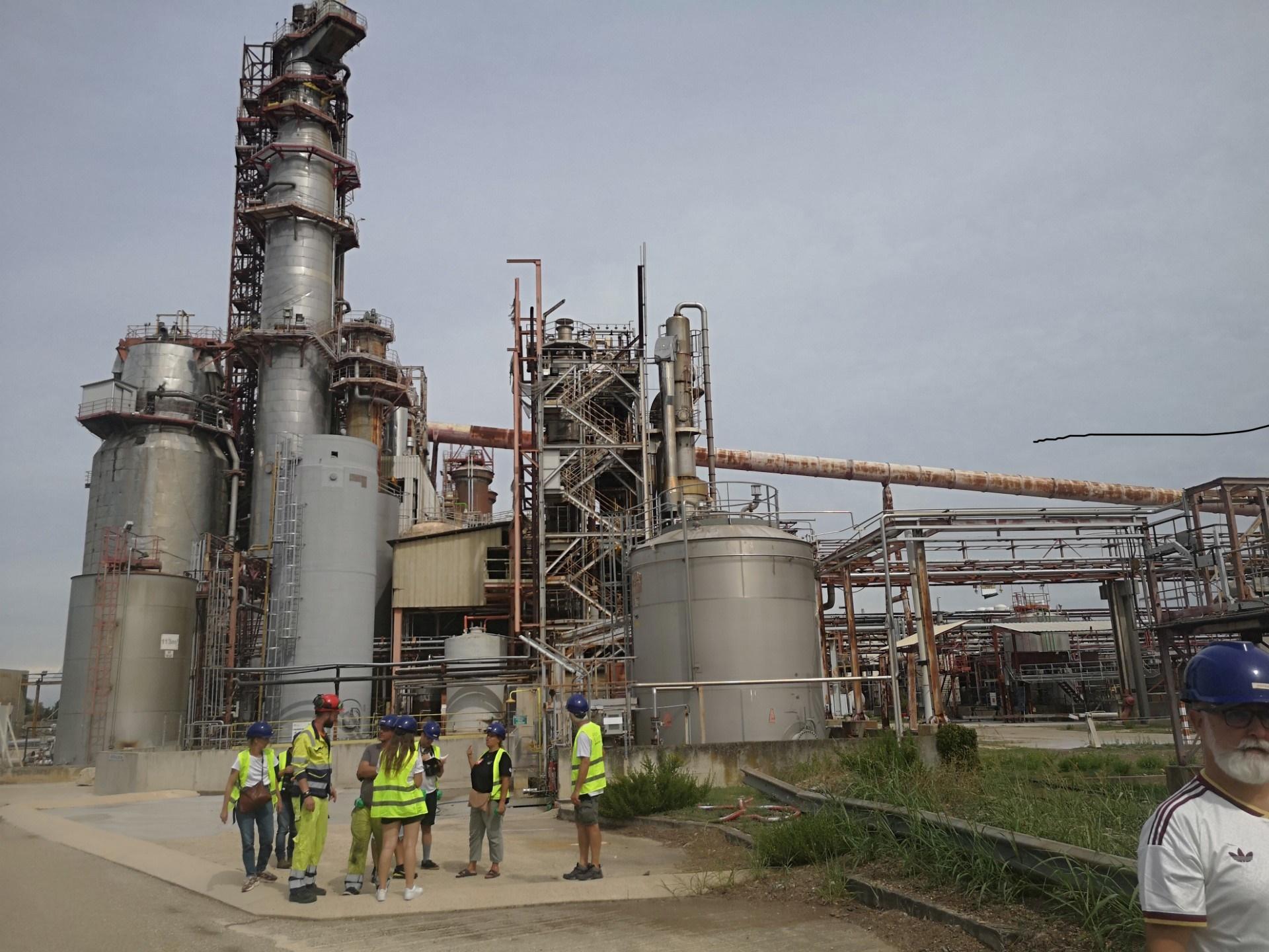 À Tarascon, une Alliance pour la relance de Fibre Excellence
