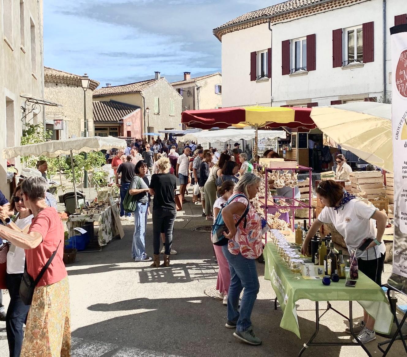 Célébrez l’huile d’olive en famille à Villes-sur-Auzon