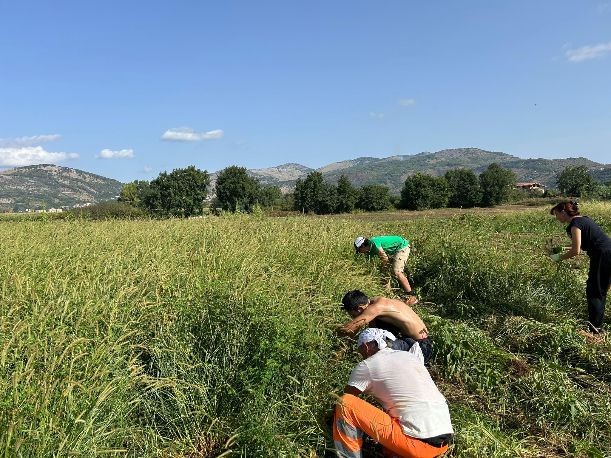 Une coopérative italienne pour aller «&nbsp;au-delà des rêves&nbsp;»