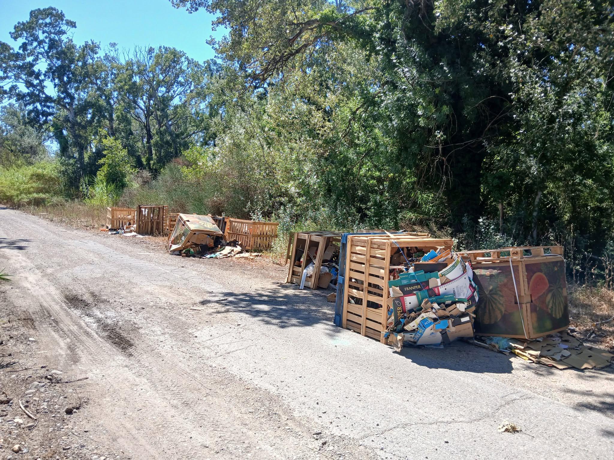 Les bords de la Durance dépollués, certains accès fermés