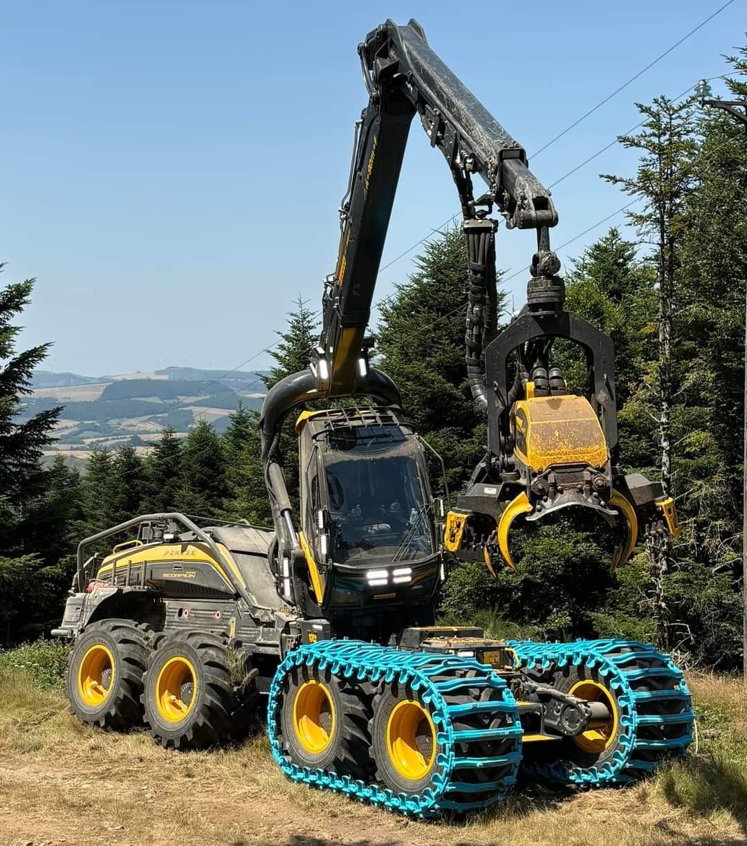 Fibre Excellence : un dossier brûlant pour la filière bois
