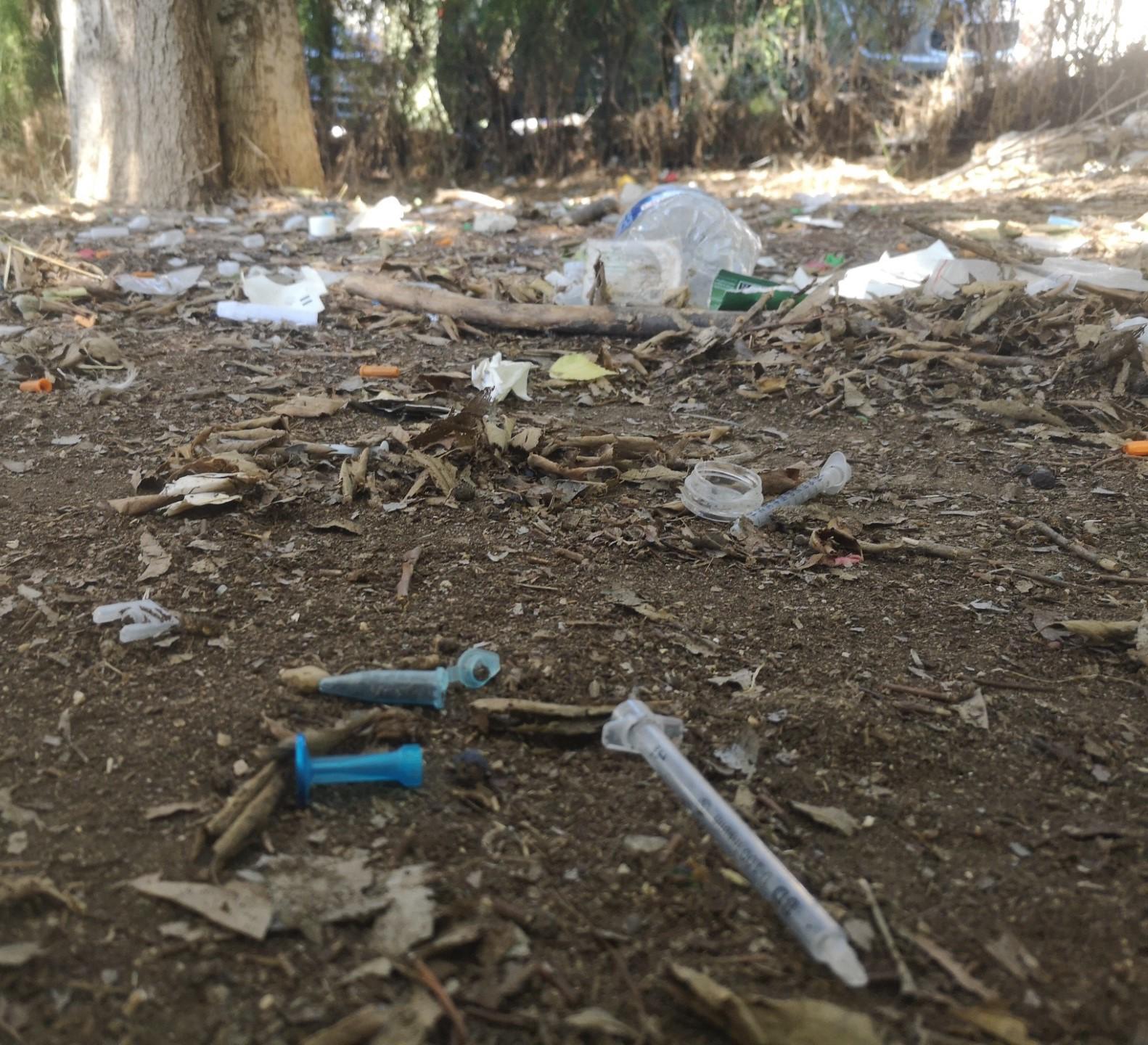 Derrière le collège Manet, à Marseille, un jardin impraticable, insalubre