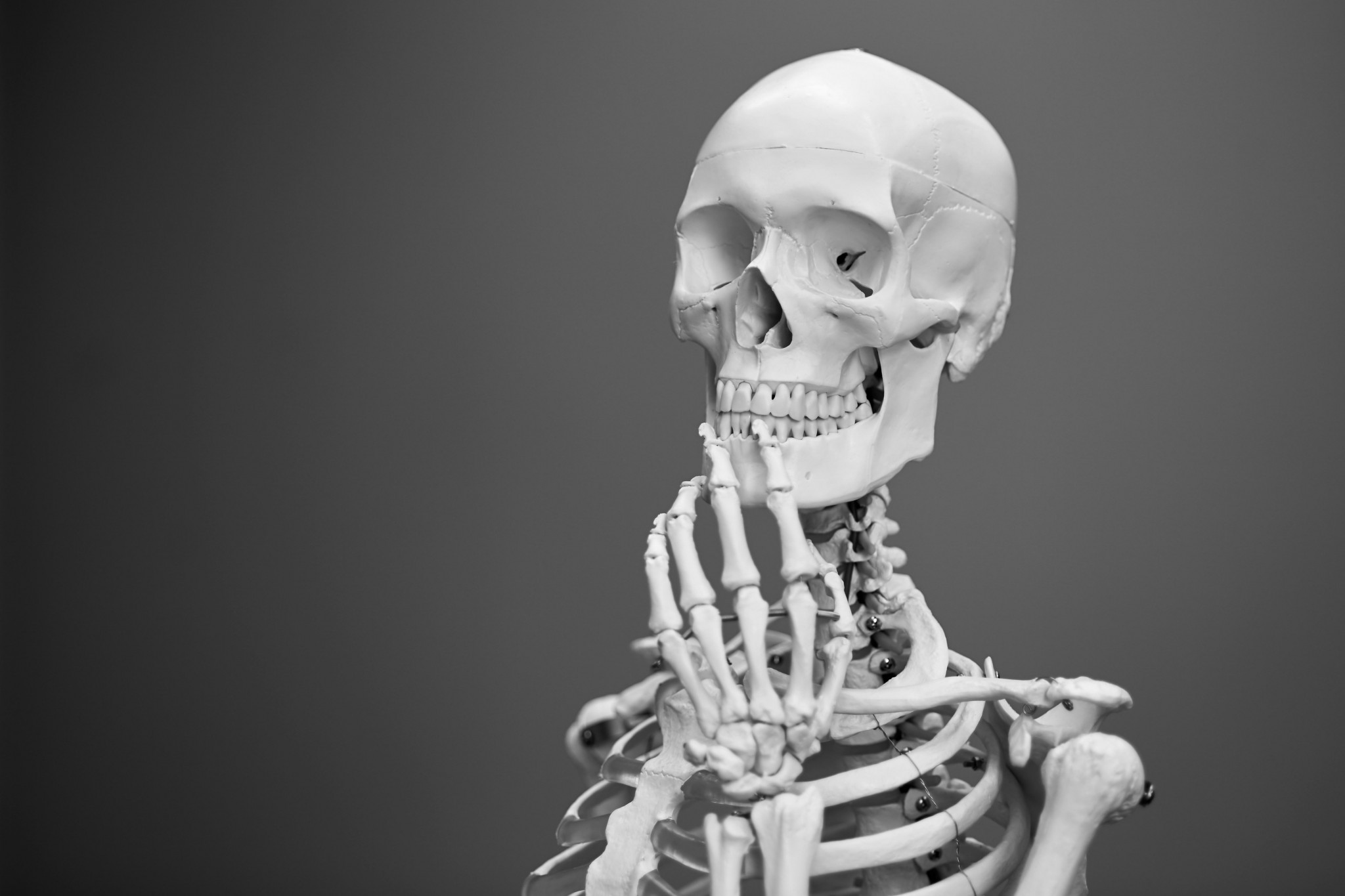 [#DisMoiPourquoi] Qui est le premier homme à avoir existé sur Terre&nbsp;?
